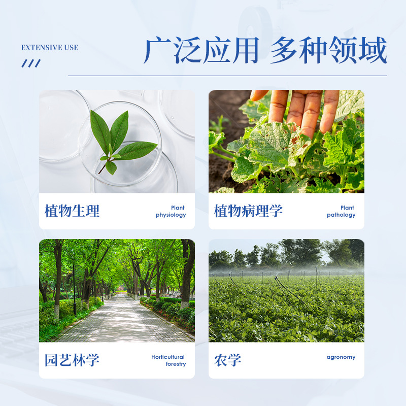 扫描式植物叶面积测量仪叶片面积采集数据分析仪叶片图像检测系统 - 图1