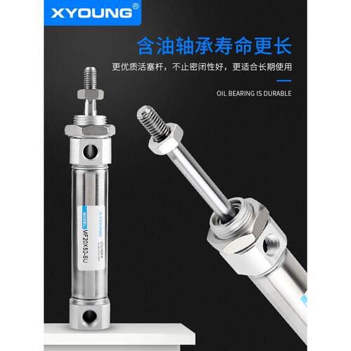 XYOUNG平尾不锈钢迷你气缸MF25X75-SU带磁迷你气缸MF25X100-SU - 图1
