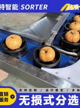 麒麟西瓜呵护式称重分选设备 水果无损分拣机 苹果石榴选果机