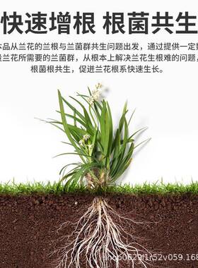 兰灵王兰花专用营养液肥料兰陵王EM菌兰科蝴蝶兰墨兰君子兰促花液