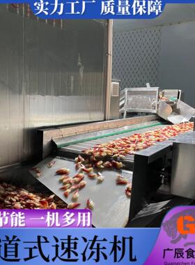 青口贝平板速冻机隧道式速冻单冻机设备火锅丸子食品速冻机设备