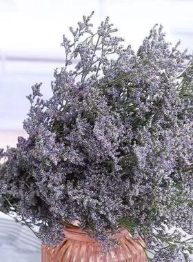 云南真花鲜花天然干花情人草配草轻奢家居装饰品干花花束客厅摆设
