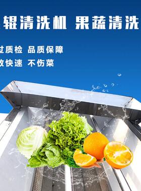 黄桃毛辊清洗机气泡喷淋清洗机不伤果果蔬加工清洗操作简单
