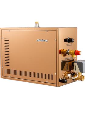 工厂直销3KW-21KW自动除垢蒸汽机商用家用桑拿蒸汽发生器蒸汽房