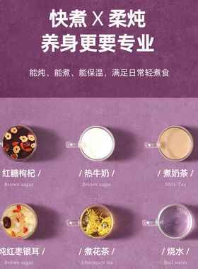 多功能家用煮花茶养生壶两件式电炖杯宿舍迷你型办公室一人养生杯