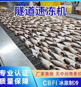 广148州泉制冷隧道速冻机菜肉类冰快速冷却蔬厂直家销