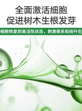 艾尚棵大树输液吊针带植物营养液果树庭院树木激活液输液管滴管袋