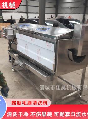 小型花生清洗机不锈钢洗姜机毛刷果蔬红薯去皮全自动脱皮机商用