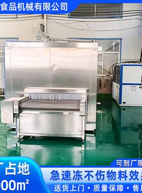 虾仁大虾速冻机海鲜小龙虾速冻机海参速冻机隧道式液氮冷冻机