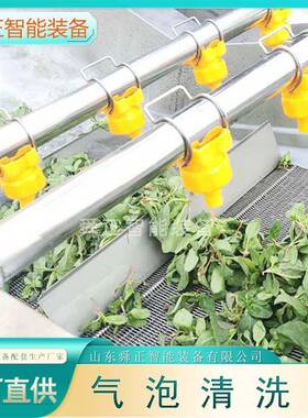 香菇清洗机 果蔬物气泡清洗菜机 农作清洗设备厂家大型洗机MAGA-