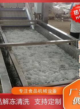 水浴式鸡爪气泡解冻机冻肉类内胆提升解冻清洗机冻海鲜化冻设备