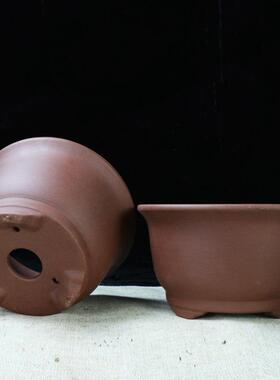 宜兴紫砂花盆室内阳台绿植种树金钟盆景盆中小圆形多肉小品陶瓷盆