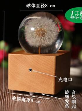 夜灯八音盒水晶球蒲公英标本摆件木质音乐盒工艺品学生奖励小礼品