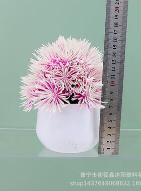 现货仿真绿植盆栽假多肉植物客厅办公室桌面装饰假花海胆盆景