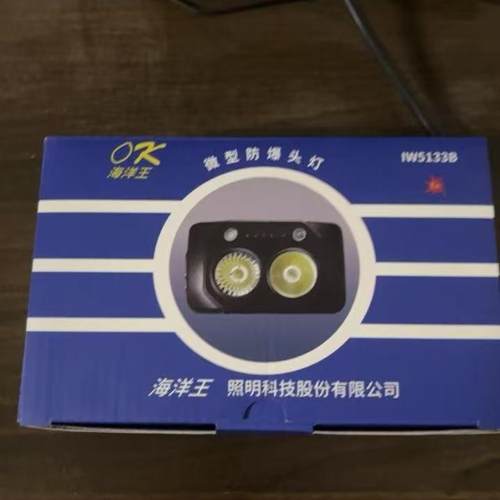 海洋王IW5133B微型防爆头灯多功能强光LED头戴式双头头灯聚泛光 - 图0