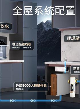净水器0阻垢剂1000G家用直饮RO反渗透净热纯水机厨下自来水过滤器