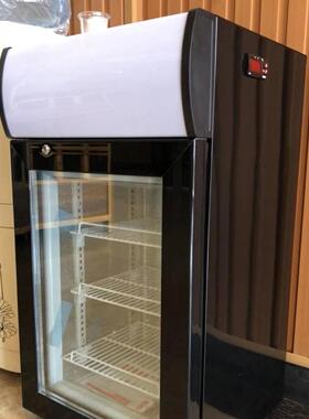 小型立式冷藏商用冷冻展示柜50L迷你玻璃门冰淇淋榴莲家用雪糕柜