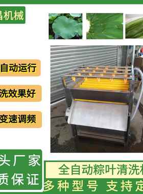 全自动粽子粽叶清洗机竹叶芦苇叶芭蕉叶荷叶全自动粽叶清洗机