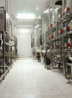 2吨双级反渗透水处理设备EDI电除盐机器3吨半导体电子超纯水设备