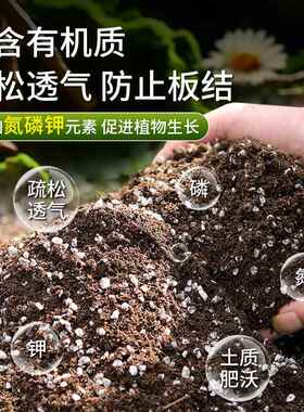 营养土通用养花多肉育苗种菜盆栽专用肥料椰糠土壤家用有机种植土
