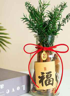 肉桂生财摆件玻璃瓶中式招财花瓶办公室桌面装饰摆件乔小红薯同款