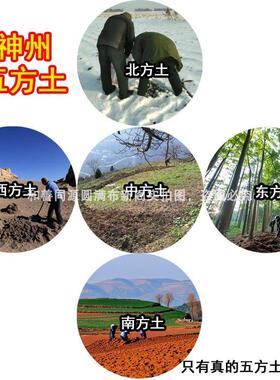 (先生亲采)神州五方土中华五色土补土五行化解厨房厕所陶罐摆件