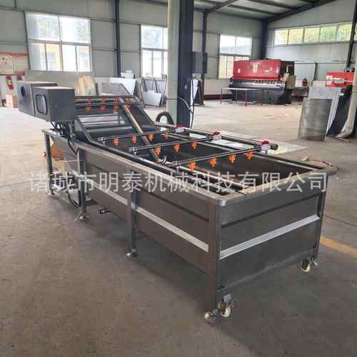 大枣果蔬气泡清洗机预制菜加工设备黄金钩洗菜机酱菜脱盐设备 - 图1