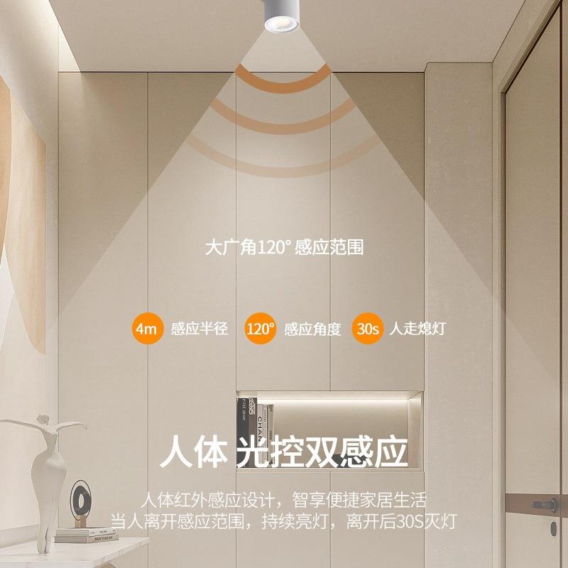 Infrared human body induction surface-mounted spotlights, entry lights, entrance halls, corridors, corridors, stairs, garage lights, induction downlights
