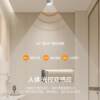 Infrared human body induction surface-mounted spotlights, entry lights, entrance halls, corridors, corridors, stairs, garage lights, induction downlights