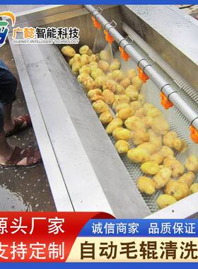 毛辊萝卜清洗机厂家供应软毛去皮去泥设备多功能毛刷清洗设备