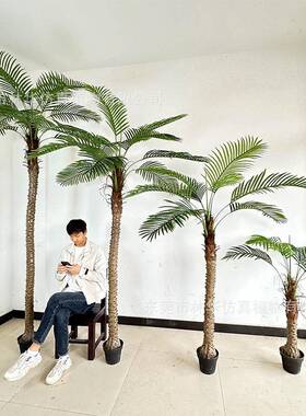 仿真针葵树北欧仿真绿植室内装饰仿真小椰子树大型落地盆景客厅