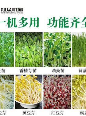 自动豆苗机智能商用豆芽菜苗培育机大容量花生黄豆快速发芽机设备