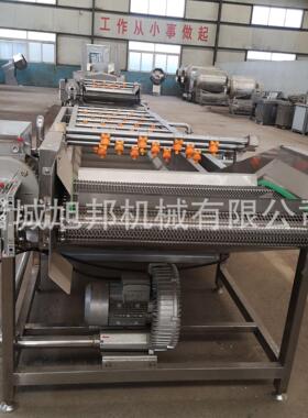 全自动大型果蔬气泡清洗机 水浴式洗菜设备 商用气泡喷淋清洗设备