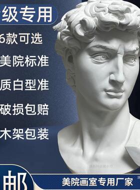 石膏像大石像摆件术美膏教具维纳斯卫小卫07851369海盗欧美装饰品