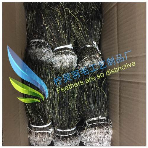 厂家现货供应真孔雀羽毛 孔雀毛丝 扎把加厚孔雀羽毛丝 - 图0