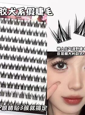 Doggy Lashes 免胶假睫毛犬系狗狗眼自然卷翘浓密无需胶水