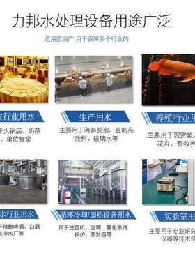 定制1-100吨工业RO反渗透去离子软化水处理大型商用纯净水设备