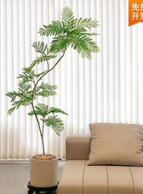 仿真植蓝花楹蓝花楹落地盆栽室大型内仿生绿植摆件客物花厅轻奢装
