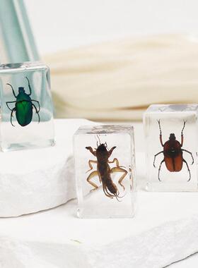 艾薇爆款 手工滴胶树脂昆虫书镇 透明琥珀昆虫标本旅游景区热卖