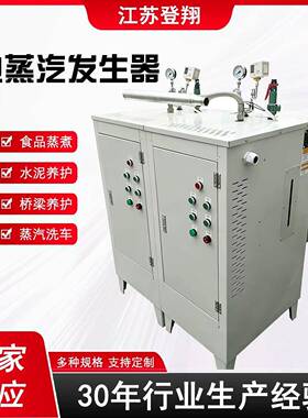 电加热蒸汽发生器水泥养护食品蒸煮酿酒挂烫机洗车蒸汽电锅炉72KW