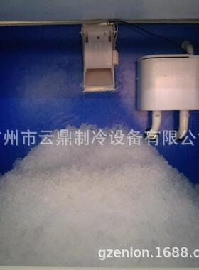 厂家供应 500kg Pellet ice maker 海鲜店制冰机 颗粒雪花冰机