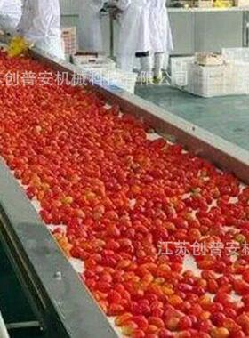 自动化各类果蔬清洗设备厂家定制品质保证