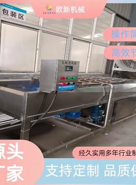 全自动平行毛辊清洗机根茎类果蔬清洗机海蛎子去泥毛刷清洗设备