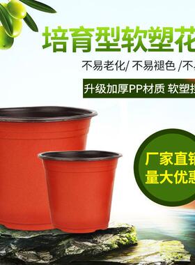 双色育苗盆一次性花盆红黑塑料摔不坏多肉种植盆加厚营养钵育苗杯