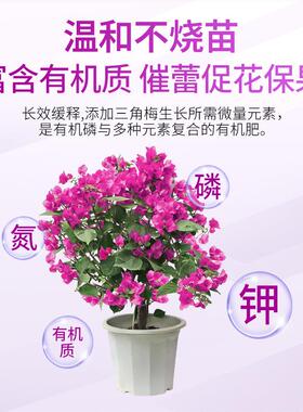 艾尚棵三角梅颗粒肥专用型花肥料盆栽绿植花卉通用开花粉养花肥料