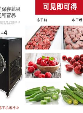 小型真空冻干机家用食品水果蔬菜宠物口粮干燥机实验设备食品级