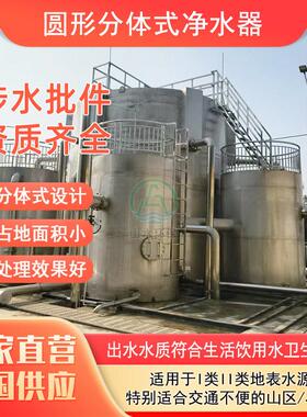农村生活饮用水净化设备山泉水净化设备老旧水厂分体式净水器
