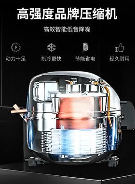 广绅电器冰柜商用冷藏展示柜大容量立式四门六门双温风冷玻璃门