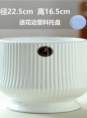 蝴蝶兰厂家直销批发代发口径花瓶