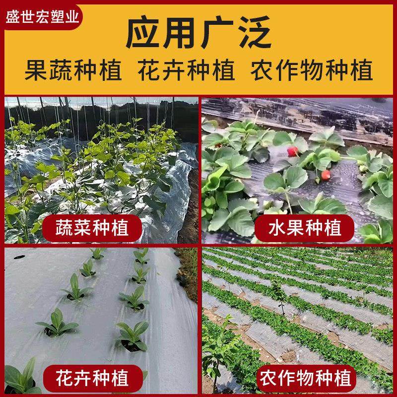 全新料农用地膜保温保湿种植地膜除草育苗农膜白色透明聚乙烯薄膜,淘宝优惠券,粉丝福利购,淘宝优惠卷